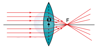 Picture42 - Copy.png