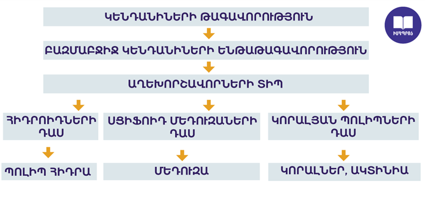 3 (3)-w1172.png