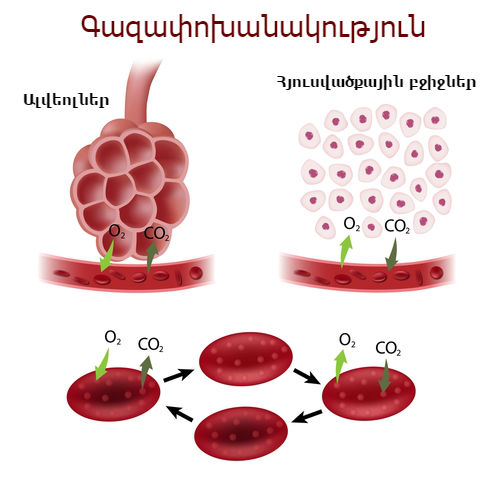 shutterstock_157672205 (2).jpg