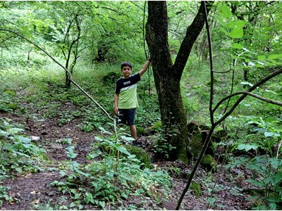 Դավիթ Միքայելյան